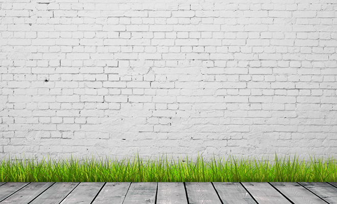brick wall with green grass